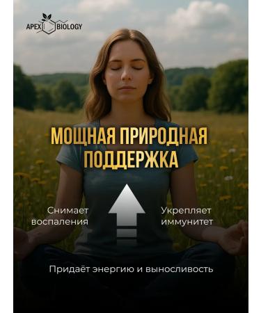 APEX BIOLOGY Honey natural taiga Altai useful product 250g - Buy Online on GoSupps.com