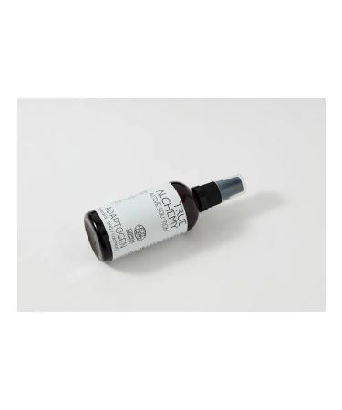 TRUE ALCHEMY Active solution Adaptogen - Buy Online on GoSupps.com