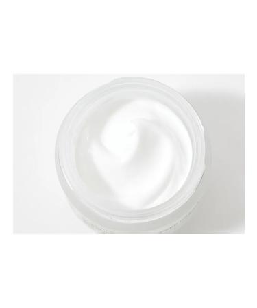 Holy Land Facial Cream Vitalise Overnight - Buy Online on GoSupps.com