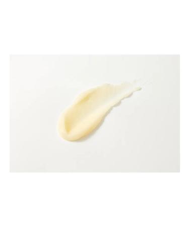 AMPLEN Piling - Purifying Shot Pumpkin Enzyme Purifying Enzymes - Buy Online on GoSupps.com