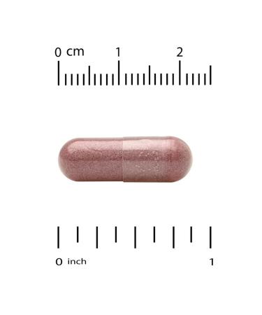 California Gold Nutrition Pyrrolokhinolinhinoinon PQQ 20 mg 60 capsules - Buy Online on GoSupps.com