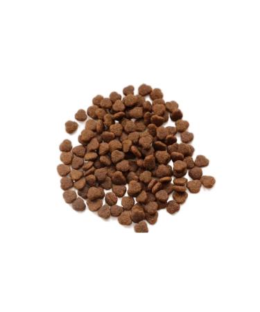 OUR DIET Dry food for adult cats turkey 10 kg - Buy Online on GoSupps.com