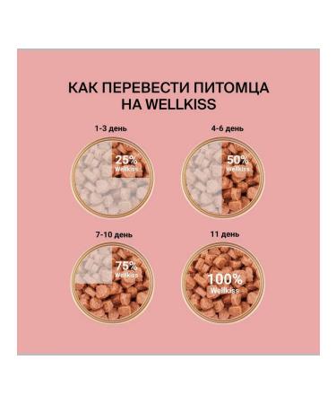 Wellkiss Wet Food for Sterilized Cats Lamb Chunks in Gravy 85g - Buy Online on GoSupps.com