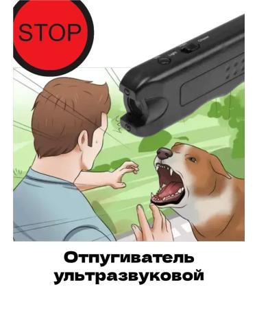 Dog fighter to protect with a flashlight flashlight