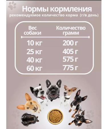 Dillii Dog food for dogs of all breeds - Buy Online on GoSupps.com