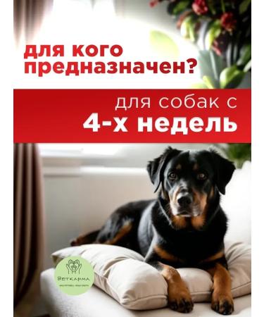 Neoterica Collar celandine bio for dogs 65 cm - Buy Online on GoSupps.com