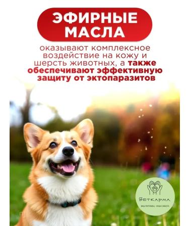 Neoterica Collar celandine bio for dogs 65 cm - Buy Online on GoSupps.com