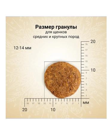 CRAFTIA NATURA dry food for medium and large breed puppies made from lamb and quail 640 g - Buy Online on GoSupps.com