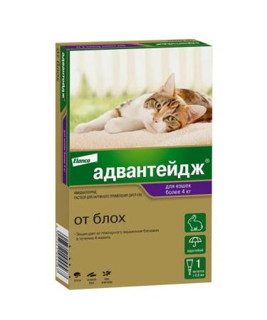 Elanco Advantage flea drops for cats over 4 kg. 1 pipette per package.