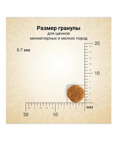 CRAFTIA NATURA dry food for miniature and small breed puppies made from chicken and turkey 2 kg - Buy Online on GoSupps.com