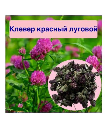 Dried red clover