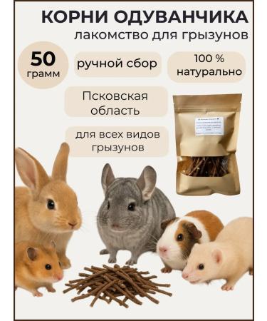 Dandelion roots for rodents