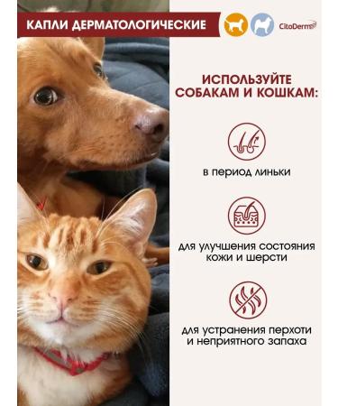 Citoderm Drops for cats and dogs up to 10 kg 4x1ml - Buy Online on GoSupps.com
