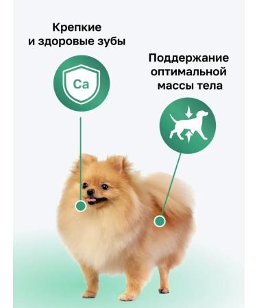 Organix Dry food for dogs of small breeds with chicken 0.8 kg - Buy Online on GoSupps.com