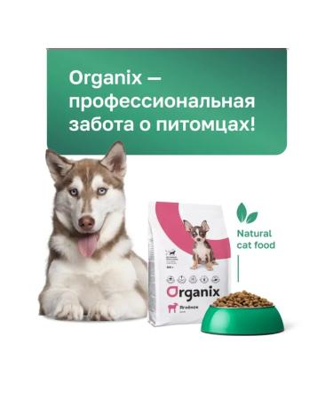 Organix For small breeds with lamb for healthy growth 0.8 kg - Buy Online on GoSupps.com