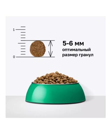 Organix For small breeds with lamb for healthy growth 0.8 kg - Buy Online on GoSupps.com