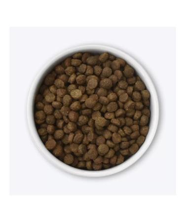 Organix For small breeds with lamb for healthy growth 0.8 kg - Buy Online on GoSupps.com