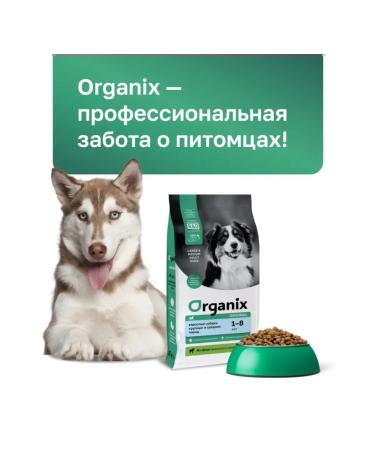 Organix Adult dog food with lamb fruits and vegetables 3 kg - Buy Online on GoSupps.com