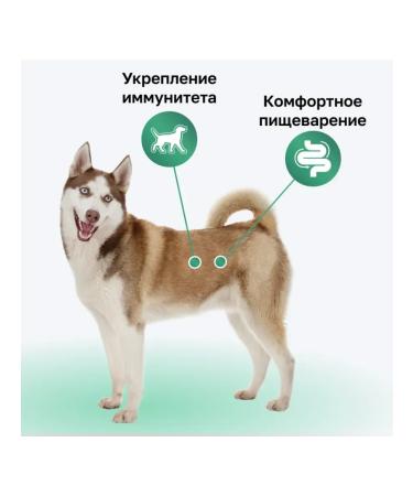 Organix Adult dog food with lamb fruits and vegetables 3 kg - Buy Online on GoSupps.com