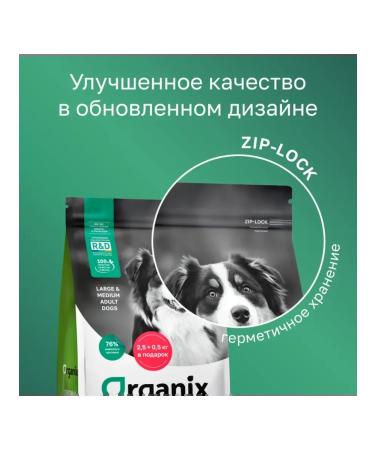 Organix Adult dog food with lamb fruits and vegetables 3 kg - Buy Online on GoSupps.com