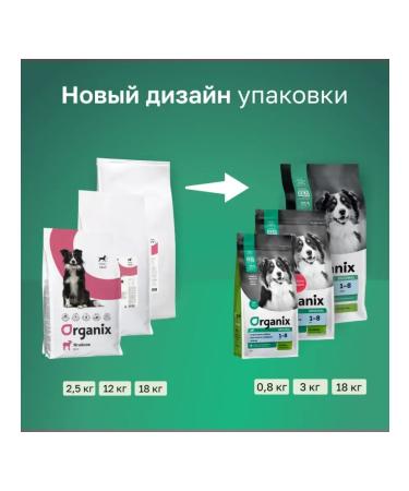 Organix Adult dog food with lamb fruits and vegetables 0.8kg - Buy Online on GoSupps.com