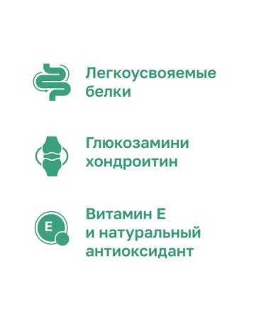 Organix Adult dog food with lamb fruits and vegetables 0.8kg - Buy Online on GoSupps.com