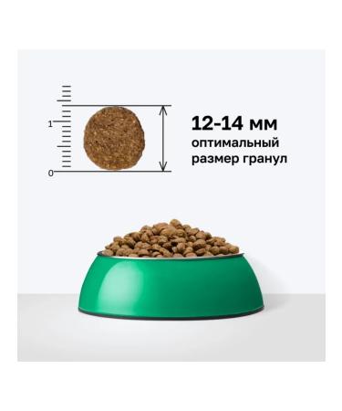 Organix Adult dog food with chicken fruits and vegetables 3 kg - Buy Online on GoSupps.com