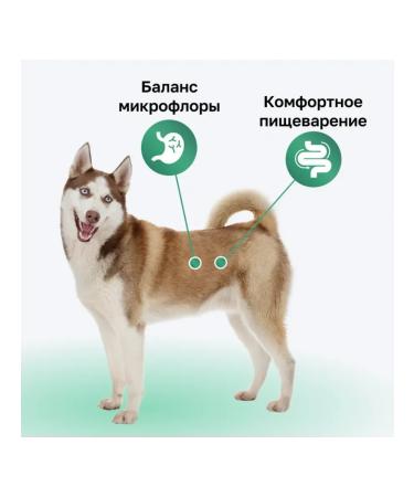 Organix Dry food for dogs with salmon fruits and vegetables 0.8 kg - Buy Online on GoSupps.com