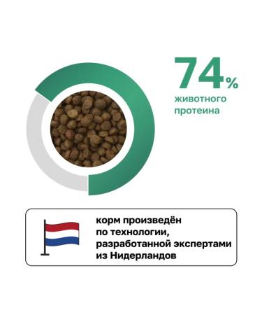 Organix Dry food for dogs with salmon fruits and vegetables 0.8 kg - Buy Online on GoSupps.com