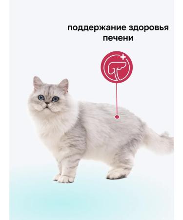 Organix Hepatic food for cats "maintaining liver health" 0.6 kg - Buy Online on GoSupps.com