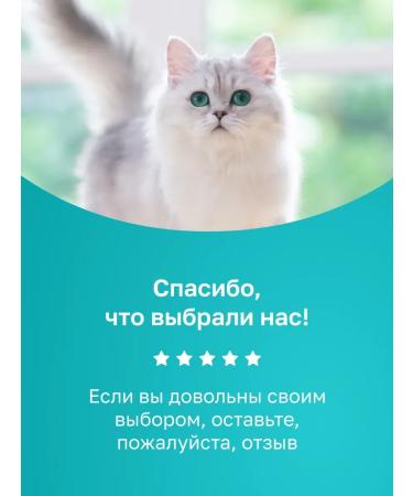 Organix Gastrointestinal for cats Prevention of gastrointestinal problems 0.6 kg - Buy Online on GoSupps.com