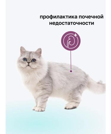 Organix Renal cat food "Maintaining kidney health" 0.6 kg - Buy Online on GoSupps.com