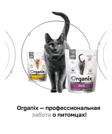 Organix Renal for cats to maintain kidney function 0.4 kg - Buy Online on GoSupps.com