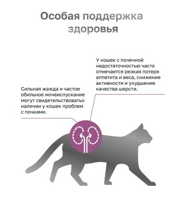 Organix Renal for cats to maintain kidney function 0.4 kg - Buy Online on GoSupps.com
