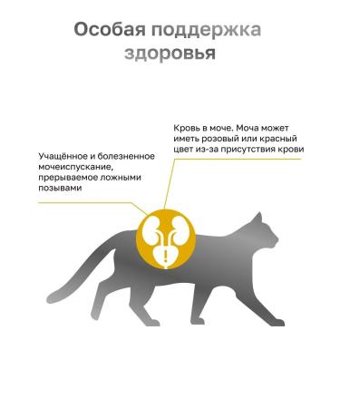 Organix Urinary Struvite for cats with urolithiasis 0.4 kg - Buy Online on GoSupps.com