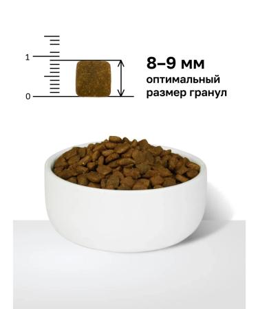 Organix Urinary Struvite for cats with urolithiasis 1.5 kg - Buy Online on GoSupps.com
