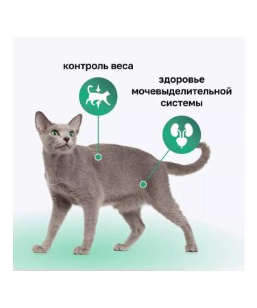 Organix Sterilized chicken sterilized 36 1.5 kg - Buy Online on GoSupps.com