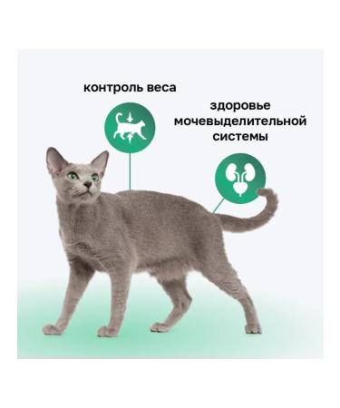 Organix Feed for sterilized cats with rabbit and vegetables 0.4 kg - Buy Online on GoSupps.com