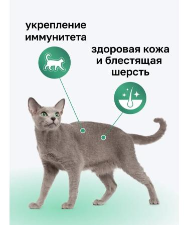 Organix Dry food for cats with lamb fruits and vegetables 5 kg - Buy Online on GoSupps.com