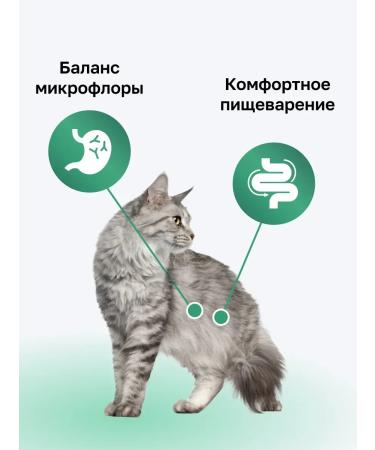 Organix Dry food for cats with salmon fruits and vegetables 5 kg - Buy Online on GoSupps.com