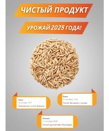 Chuvash bread Oats for brewing therapeutic 200 g - Buy Online on GoSupps.com