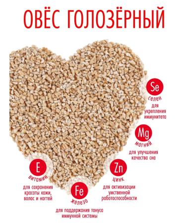 Altai lifestyle A set of products of PP porridge side dishes bars 1.8 kg - Buy Online on GoSupps.com