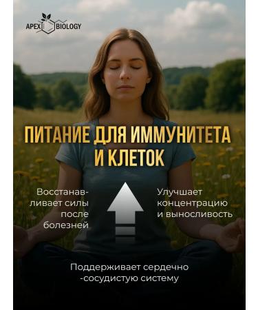 APEX BIOLOGY Honey natural flower with perga useful product 250g - Buy Online on GoSupps.com