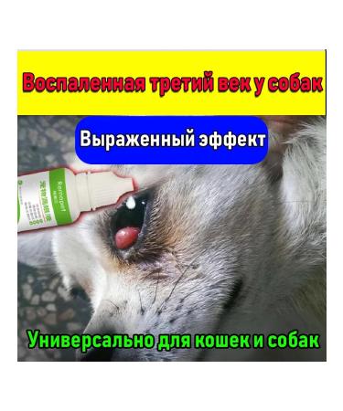 Drops from a cherry eye for dogs and cats 20 ml