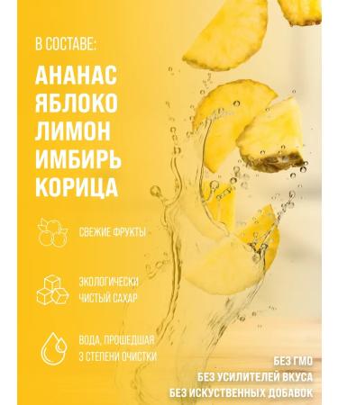 Dub Mix Ready-to-serve tea with pineapple lemon apple and spices "Caribbean Grog" (10 pieces) - Buy Online on GoSupps.com