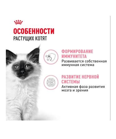 ROYAL CANIN Wet food for kittens in sauce 85 g x 28 pcs - Buy Online on GoSupps.com