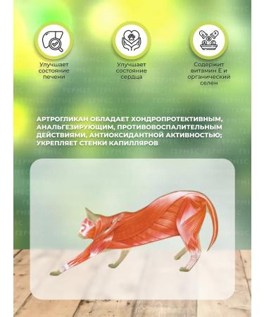Biocenter CHIN Arthroglycan for dogs and cats chondroprotector 300 tab - Buy Online on GoSupps.com