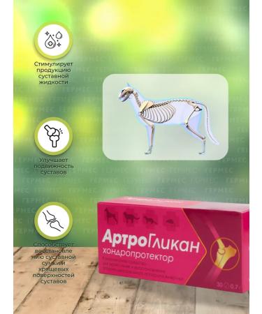 Biocenter CHIN Arthroglycan for dogs and cats chondroprotector 30 tab - Buy Online on GoSupps.com