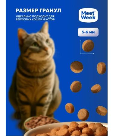MeetWeek Dry food for cats turkey with rice 0.5 kg - Buy Online on GoSupps.com