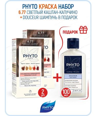 PHYTOSOLBA Pito paint 6.77 Light Kashtan Kapuchino 2 pcs. (Phyto Color)